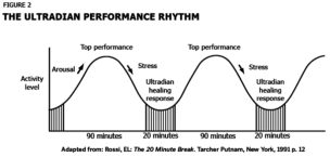 Ultradian